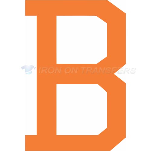Baltimore Orioles Iron-on Stickers (Heat Transfers)NO.1428